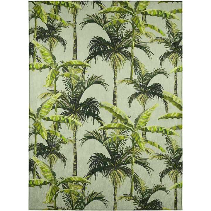 Aloe TC10 Dalyn Tropics Area Rug